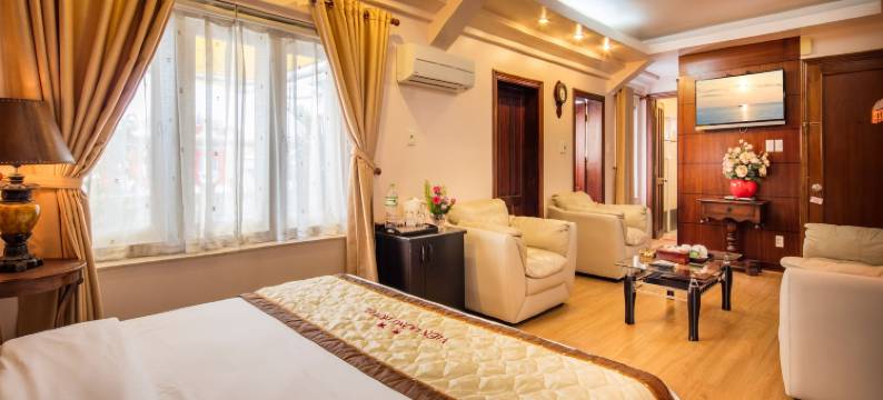 维东酒店富美兴(Vien Dong Hotel Phu My Hung)图片