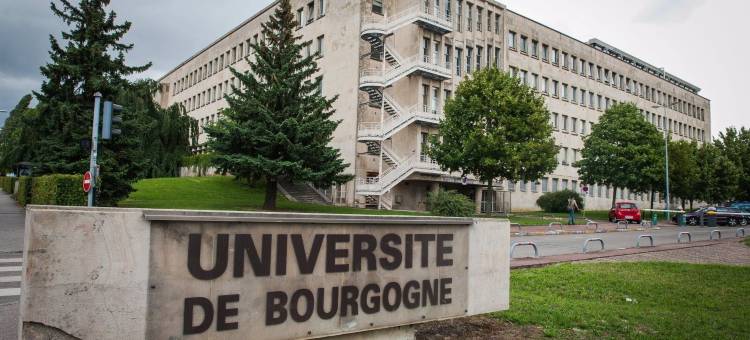 第戎南部设计酒店(Hotel Inn Design Dijon Sud)图片