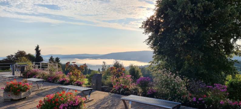 布赖滕伯恩旅馆(Pension Breitenborn)图片