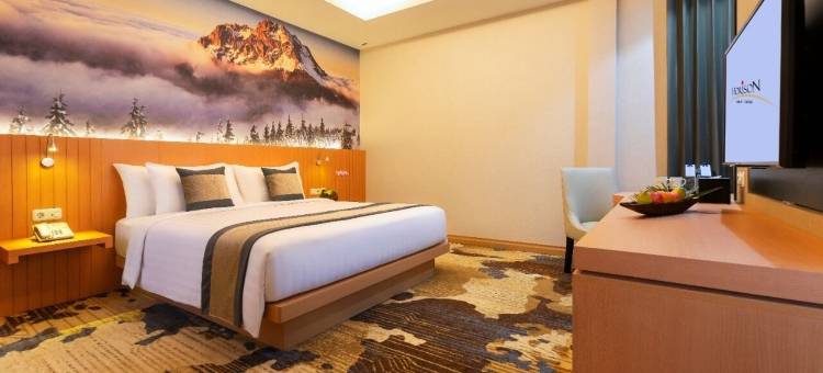 提米卡戴安娜地平线酒店(Horison Diana Timika)图片