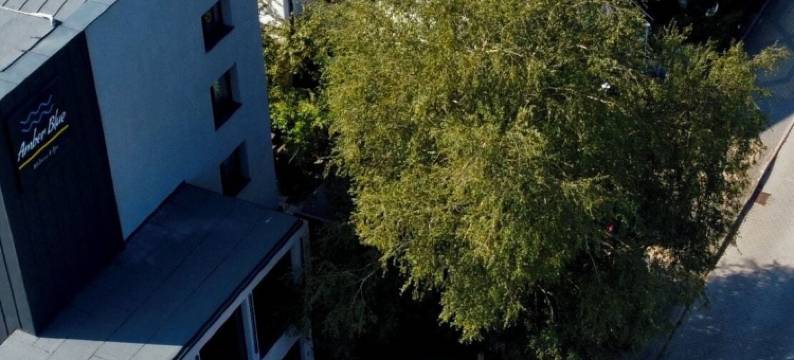 安柏蓝健康水疗酒店(Amber Blue Wellness & Spa)图片