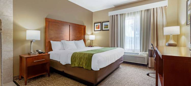 普勒沃斯蒂文斯波因特舒适酒店(Comfort Inn Plover-Stevens Point)图片