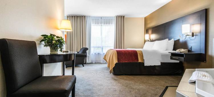 舒适酒店(Comfort Inn)图片