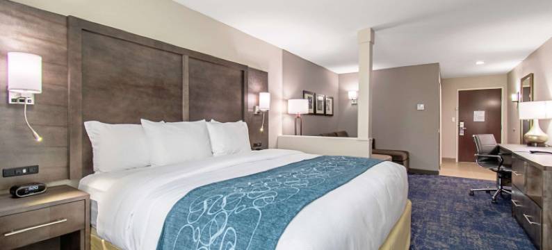 休斯顿IAH舒适套房酒店(Comfort Suites Humble Houston IAH)图片