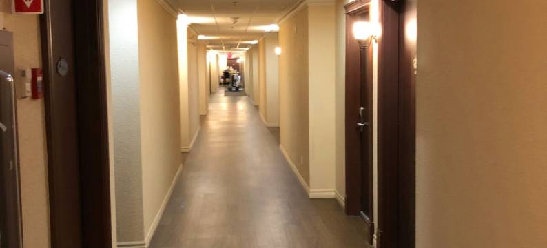 雪鹅酒店(Hotel l'Oie des Neiges)图片