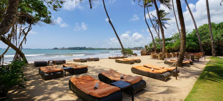 可可湾酒店(Cocobay Unawatuna)图片