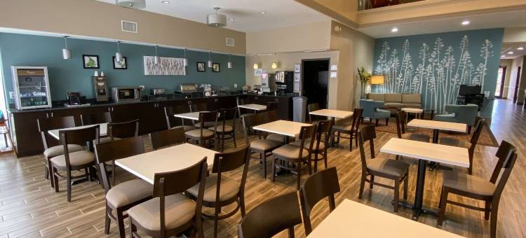 皮尔兰舒眠套房酒店-南休斯顿(Sleep Inn & Suites Pearland - Houston South)图片