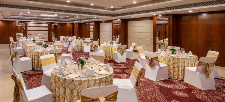 洛茲广场酒店(Lords Plaza Jaipur)图片
