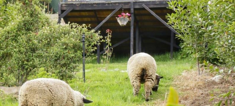 蓝色海岸生态旅馆(Costa Azul Ecolodge)图片