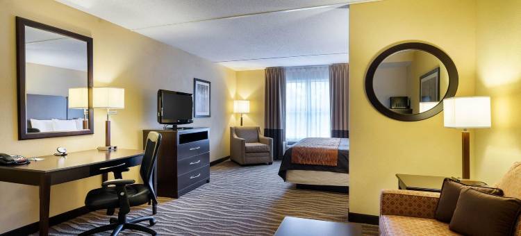 舒适套房酒店(Comfort Inn & Suites)图片