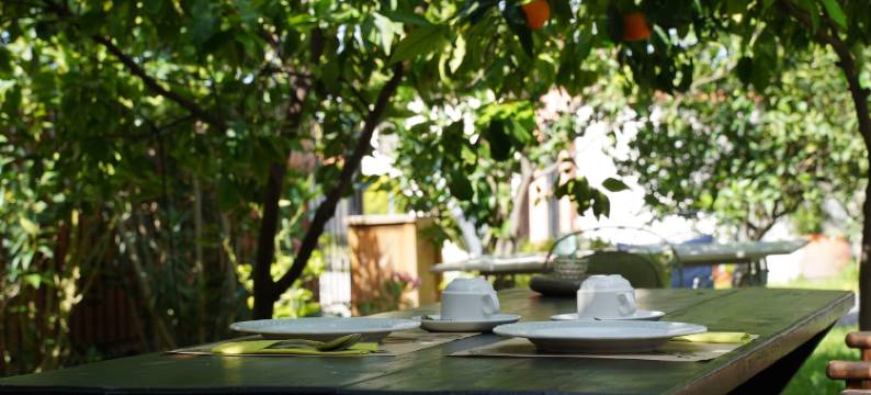 阿特拉生活酒店(Alterra Vita)图片