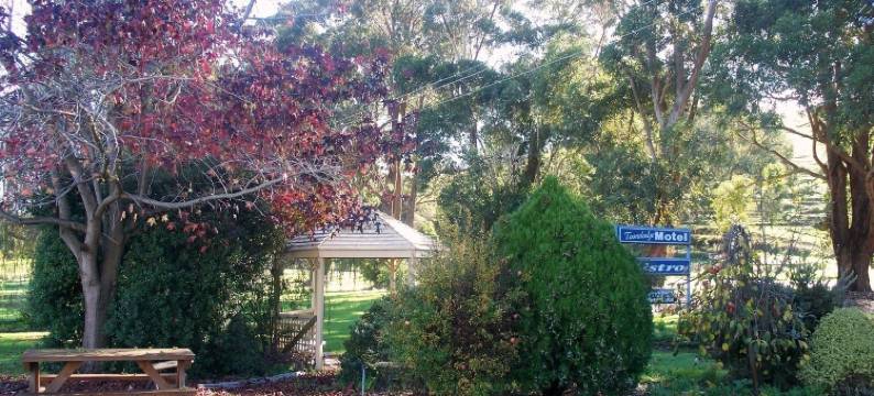 托拉洛奇汽车旅馆(Toora Lodge Motel)图片