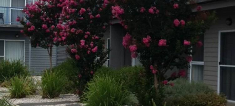 奎斯特威廉斯敦北酒店(Quest Williamstown North)图片