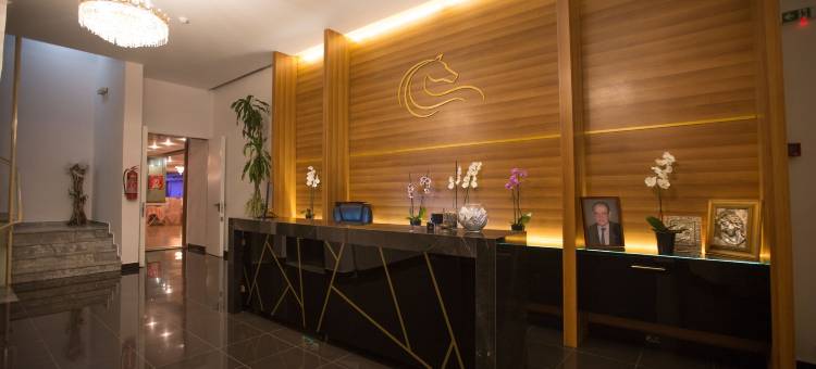 卡沃赖瑞宫殿酒店(Cavallari Palace Hotel Suites)图片