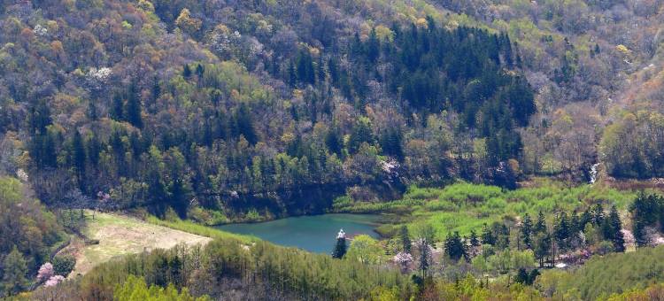 小樽舒适旅馆(Cozy Inn Otaru)图片