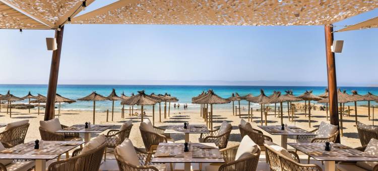 里乌宫殿酒店拉莫拉(Hotel Riu Palace la Mola)图片