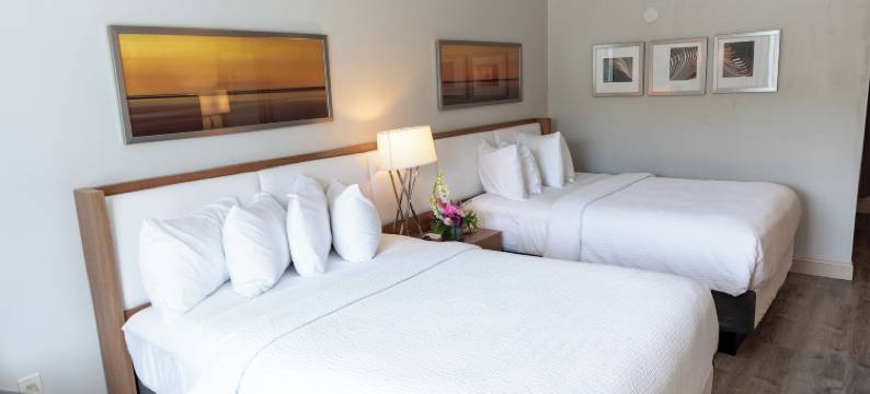Iris Hotel Cape Cod图片
