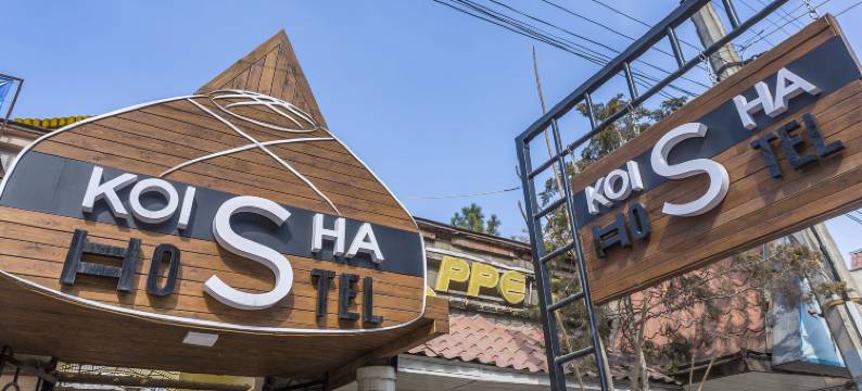 科伊莎青年旅舍(Koisha)图片