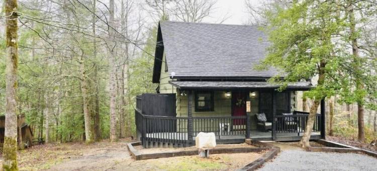 乡村倒带(Rustic Rewind)图片