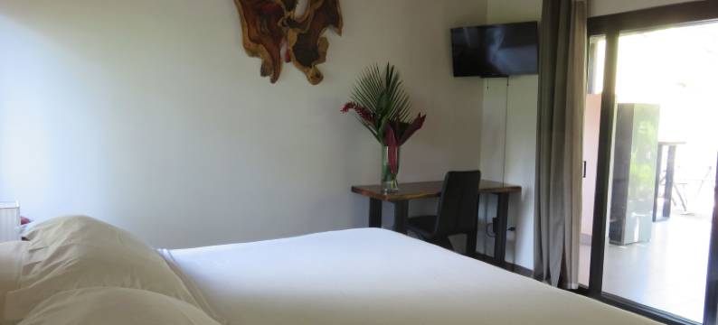 帕玛士绿洲酒店(Oasis de las Palmas)图片