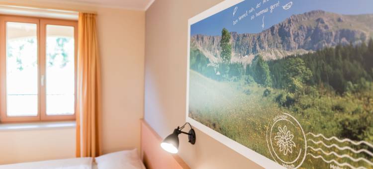 法伊奇JUFA宾馆(Jufa Hotel Veitsch)图片