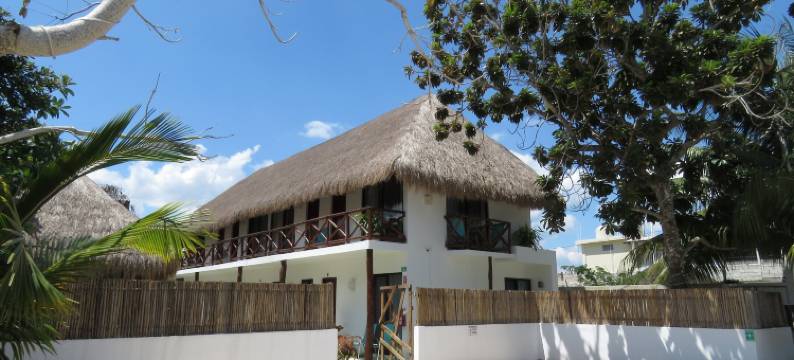 蓝色酒店 36(Azul 36 Hotel)图片