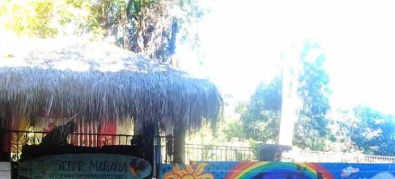 帕萨达斯诺尔马纳纳酒店(Hotel Posada Señor Mañana)图片