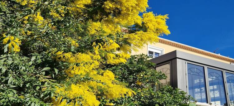 小波希米亚酒店(Hôtel la Petite Bohème)图片