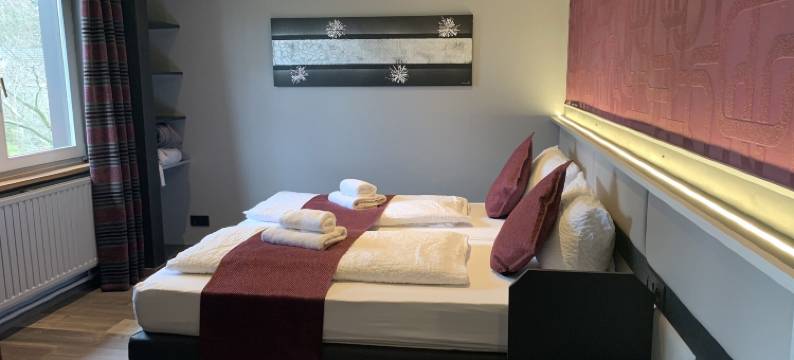 拉克酒店(Hôtel du Lac)图片