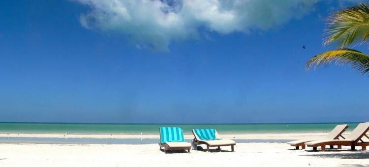 埃尔科拉松精品酒店 - 限成人，含海滩俱乐部通行证(El Corazón Boutique Hotel - Adults Only with Beach Club's Pass Included)图片