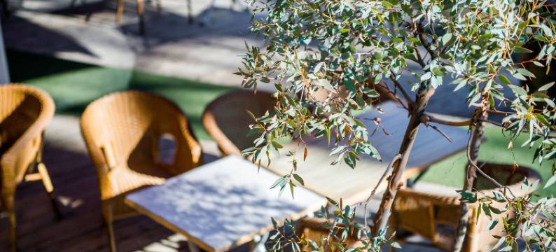 Logis酒店Le Tilia(Logis Hôtel le Tilia)图片