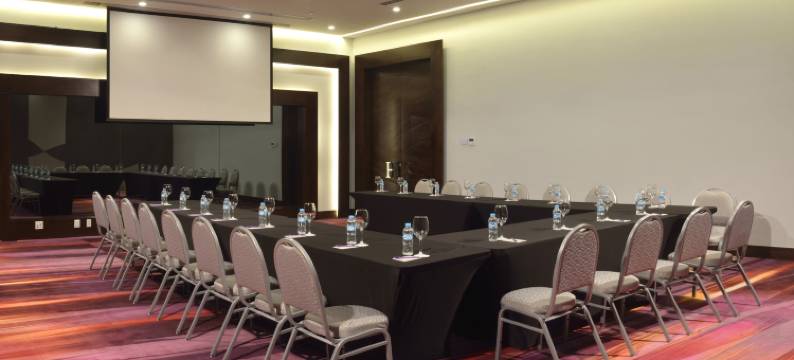 HS 霍特森锡劳酒店(HS Hotsson Hotel Silao)图片