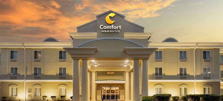 舒适套房酒店(Comfort Inn & Suites Carneys Point)图片