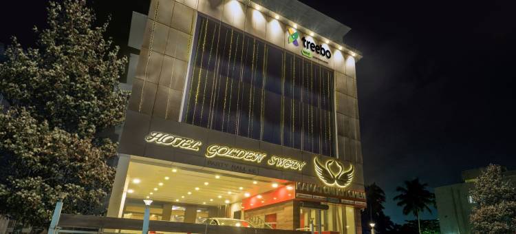 翠柏金天鹅酒店-帕马尔(Treebo Golden Swan Pammal)图片