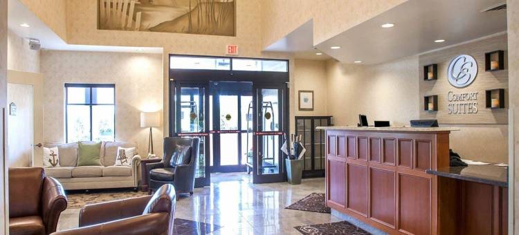 西沃里克 - 普罗维登斯舒适套房酒店(Comfort Suites West Warwick - Providence)图片