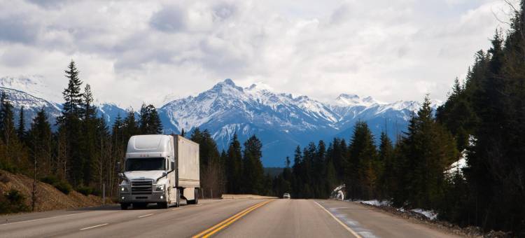 海湾海岸6号汽车旅馆(Motel 6 Gulf Shores, Al)图片