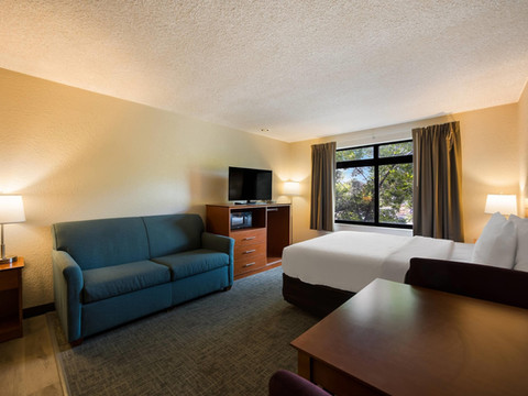 库勒城郊区的工作室