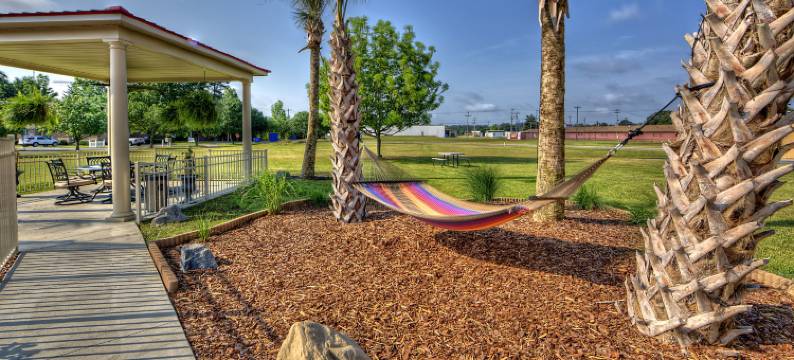 希尔顿欢朋酒店-劳林堡(Hampton Inn Laurinburg)图片