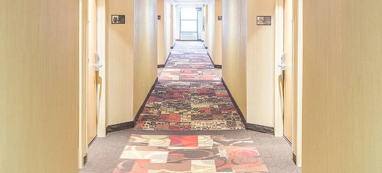 查塔努加/希克森欢朋酒店(Hampton Inn Chattanooga/Hixson)图片