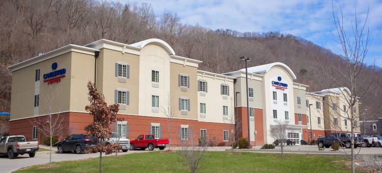 Candlewood Suites 洛根(Candlewood Suites LOGAN by IHG)图片