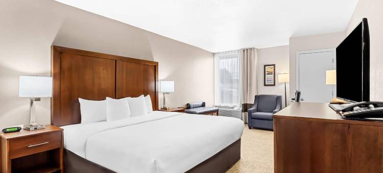 舒适酒店-大学(Comfort Inn University)图片