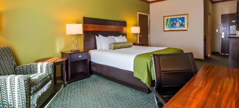 舒适酒店及套房(Comfort Inn & Suites)图片