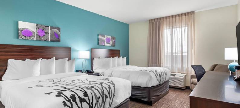 达拉斯南兰开斯特舒眠酒店(Sleep Inn Lancaster Dallas South)图片