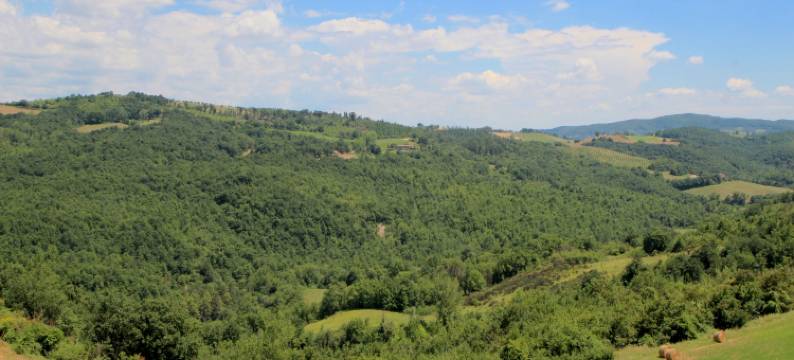 Elysian Escape - A paradise图片