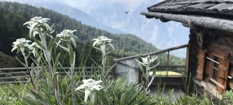 Amazing apartment with valley view图片