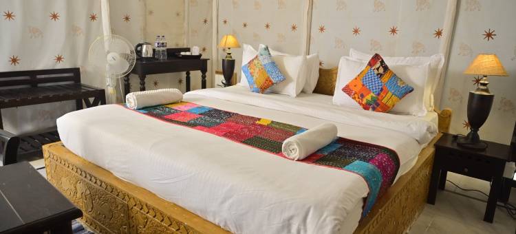 Sunny Desert Camp图片