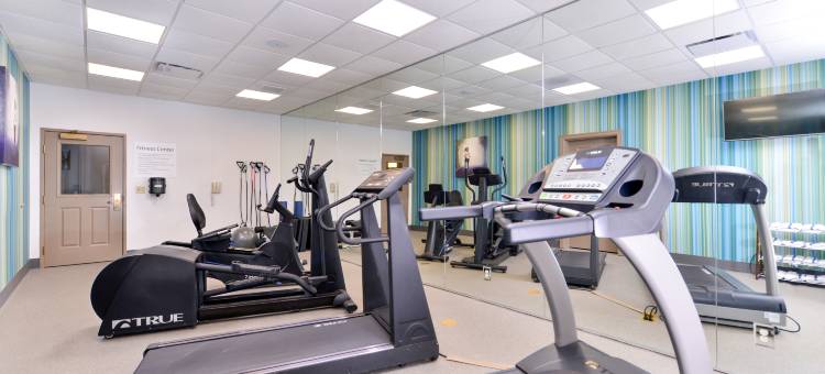 智选假日套房酒店圣路易斯西奥法隆(Holiday Inn Express & Suites ST. Louis West-O'Fallon)图片