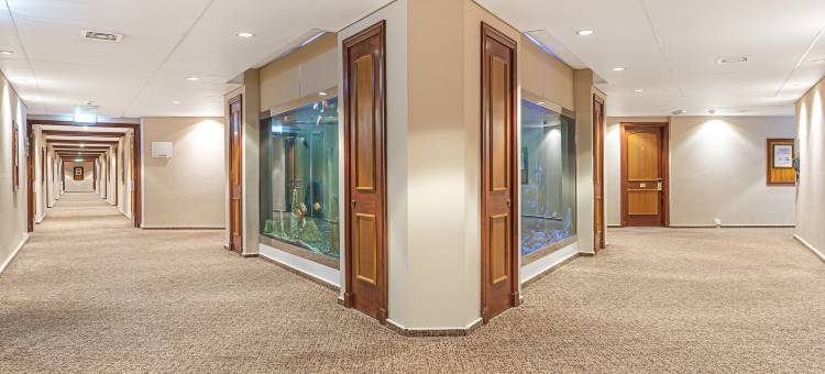 科比德比奇酒店(Coppid Beech)图片