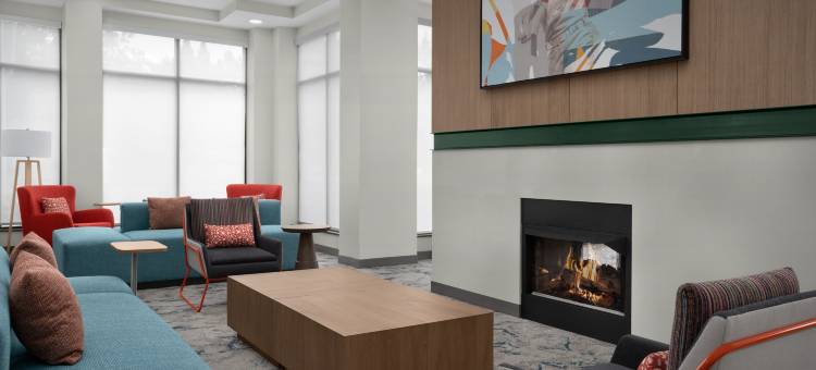 希尔顿花园酒店-亚特兰大西/ 利蒂亚斯普林斯(Hilton Garden Inn Atlanta West/Lithia Springs)图片