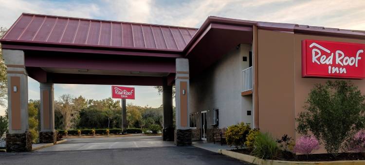 埃伦顿-布雷登顿红顶酒店(Red Roof Inn Ellenton - Bradenton NE)图片